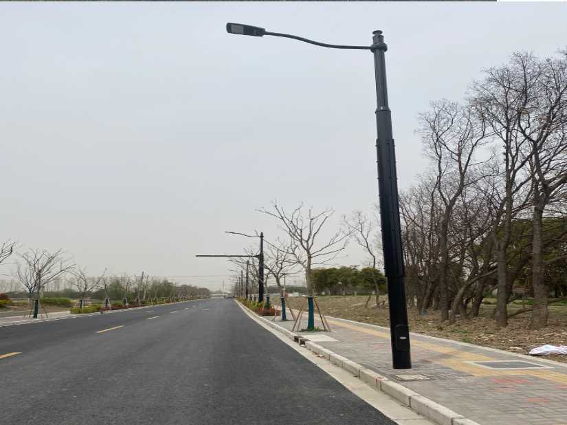 凌海市上海综合杆 太阳能路灯工程
